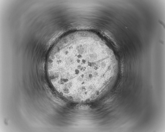 X0000101470491200808041108