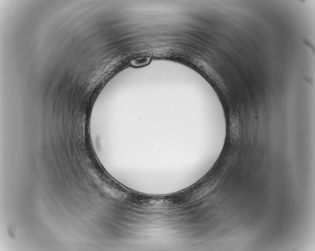 X0000101470493200808041108