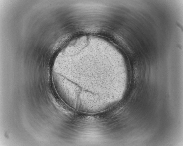 X0000101470494200808041108