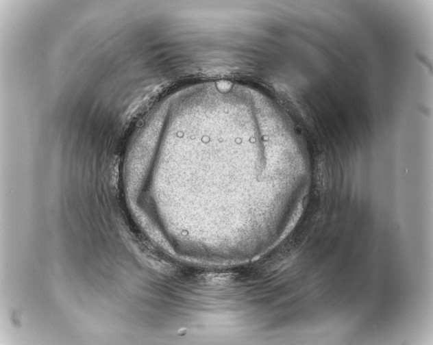 X0000101470495200808041108