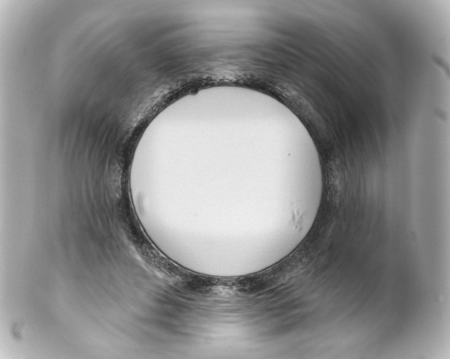 X0000101470496200808041108