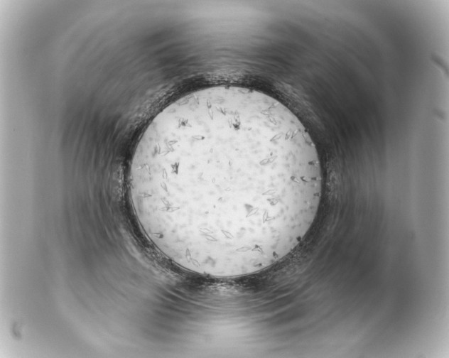 X0000101470498200808041108