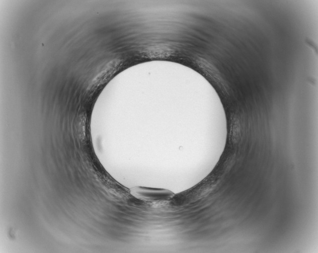 X0000101470501200808041108