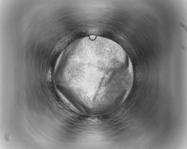 X0000101470502200808041108