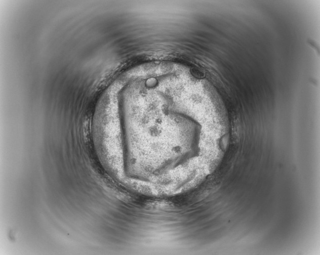 X0000101470503200808041108