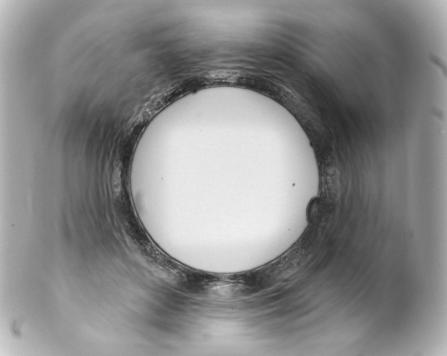 X0000101470504200808041108