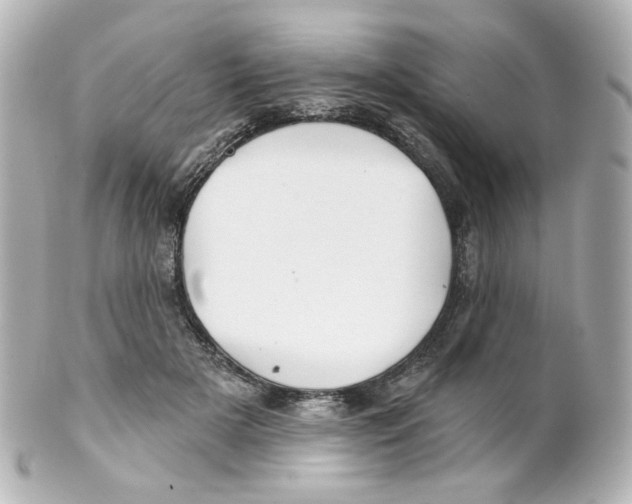 X0000101470505200808041108