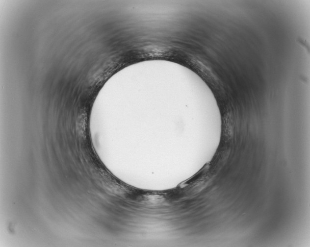 X0000101470509200808041108