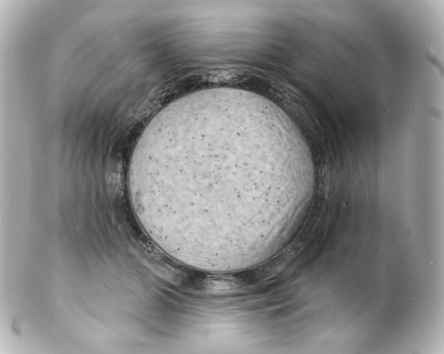 X0000101470510200808041108