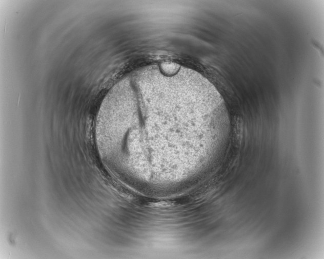 X0000101470511200808041108