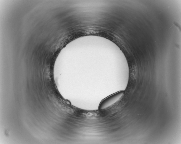 X0000101470512200808041108