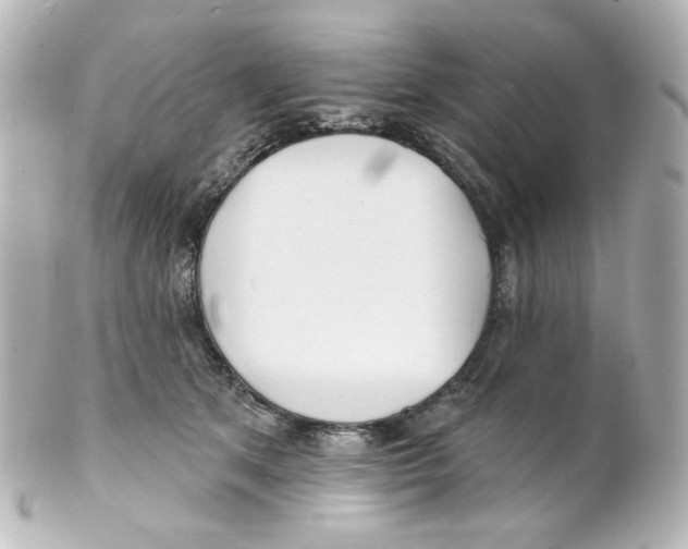 X0000101470513200808041108