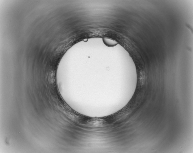 X0000101470514200808041108