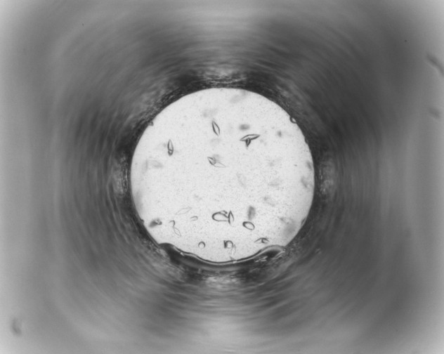 X0000101470515200808041108