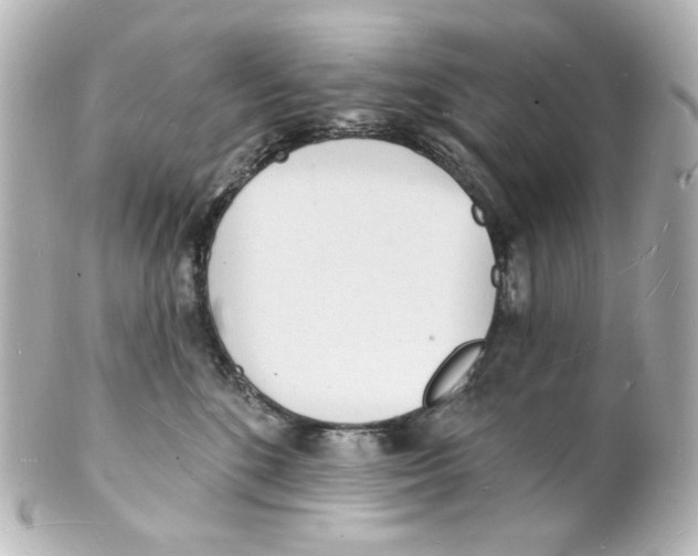 X0000101470520200808041108