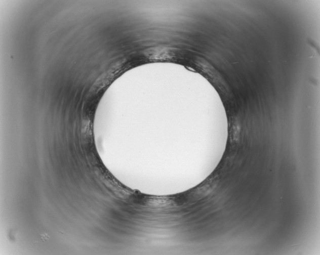 X0000101470521200808041108