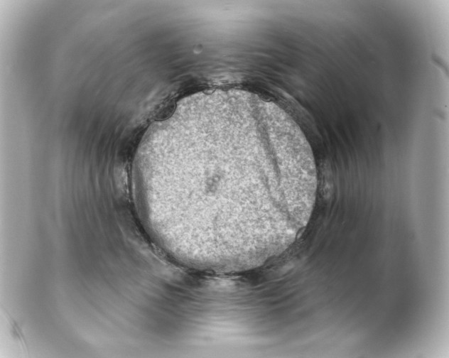 X0000101470523200808041108