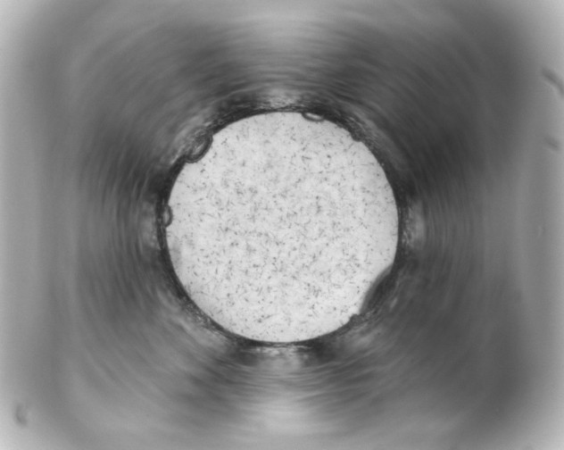 X0000101470524200808041108