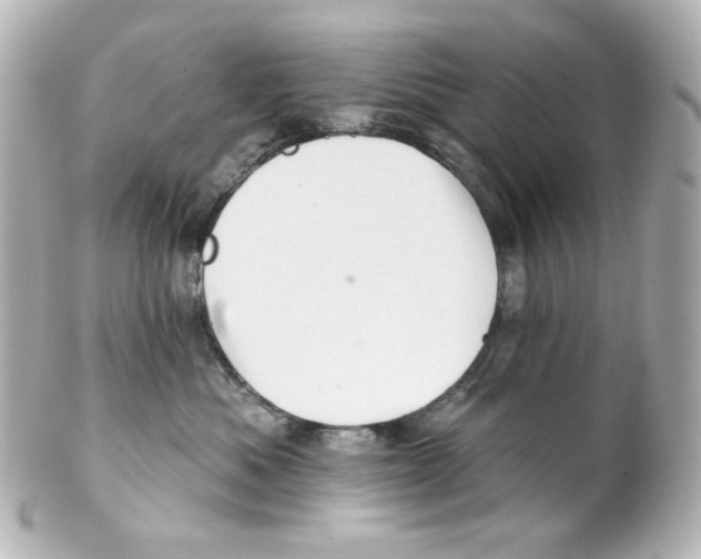 X0000101470525200808041108