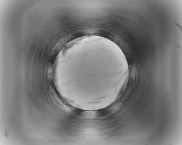 X0000101470526200808041108