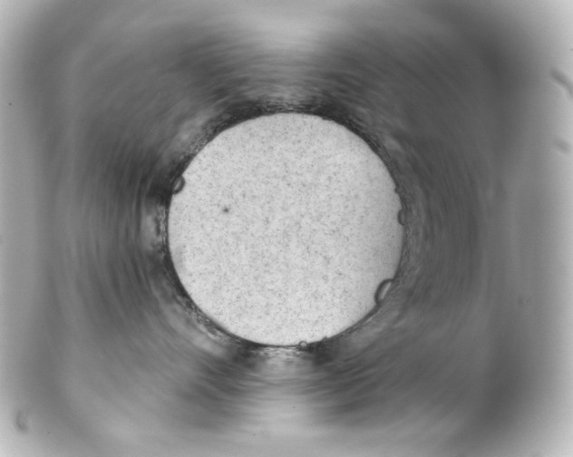 X0000101470528200808041108