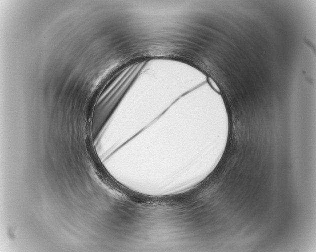 X0000101470530200808041107