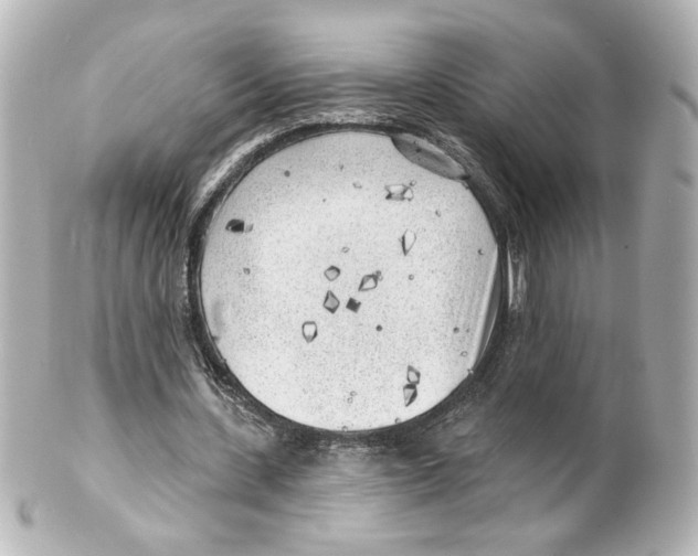 X0000101470531200808041107