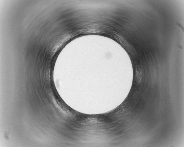 X0000101470534200808041107