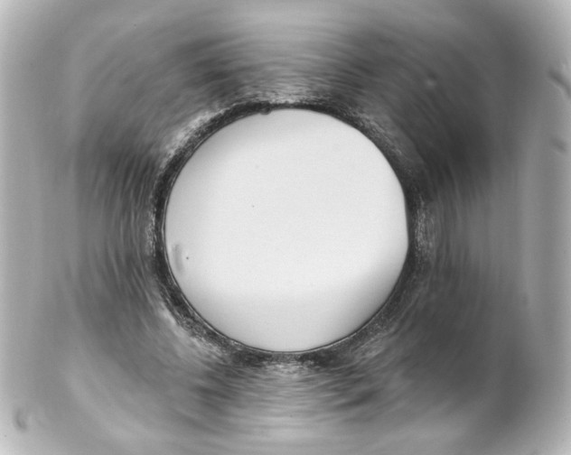 X0000101470540200808041107