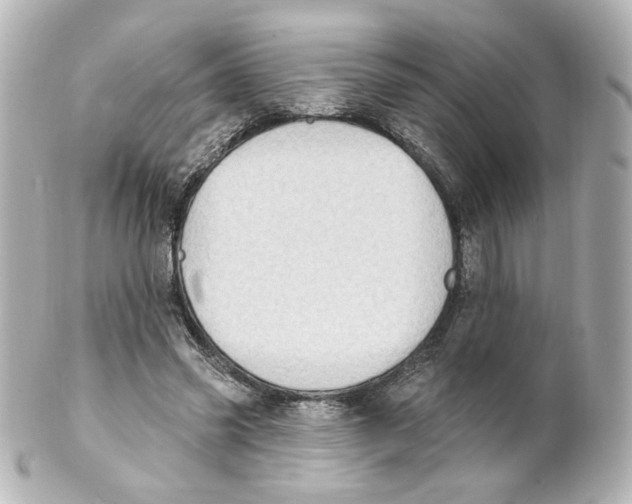 X0000101470541200808041107