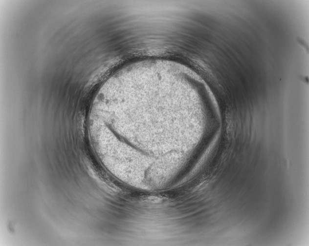 X0000101470542200808041107