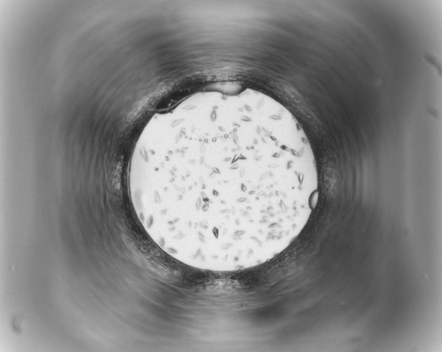 X0000101470543200808041107