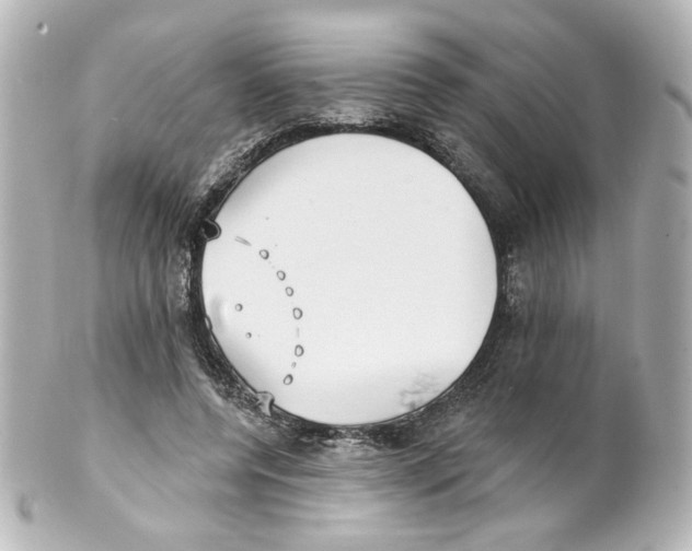 X0000101470544200808041107