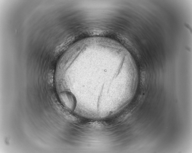 X0000101470545200808041107