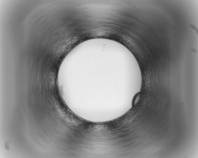 X0000101470546200808041107