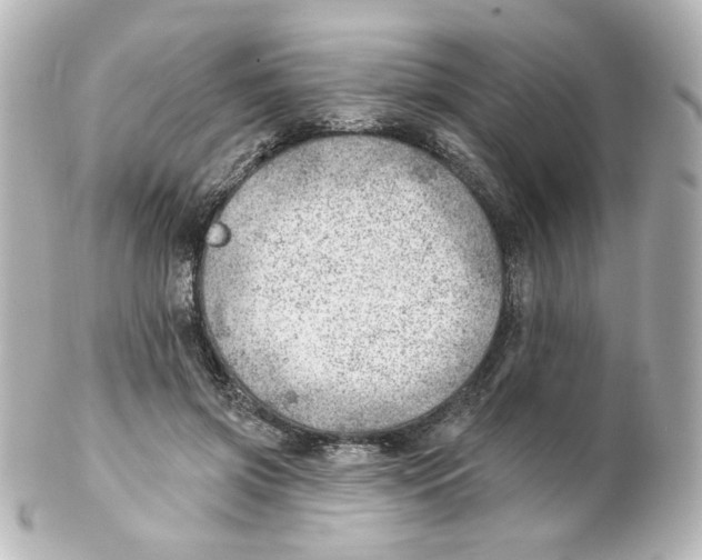 X0000101470549200808041107