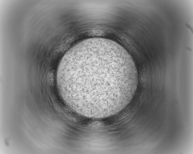 X0000101470551200808041108