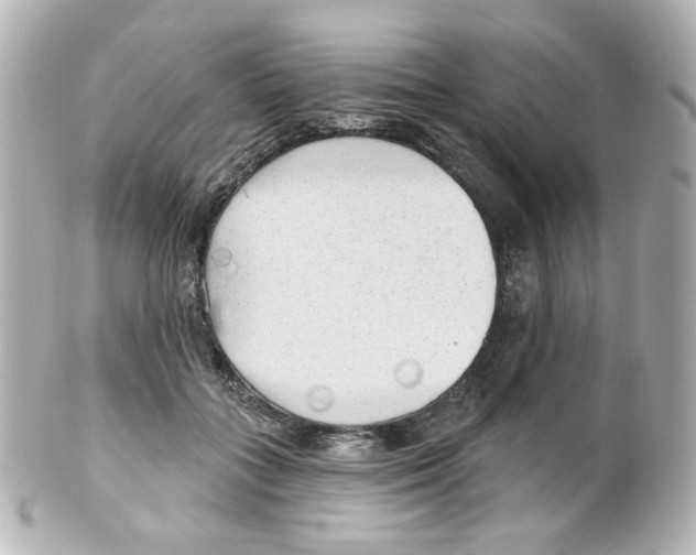 X0000101470555200808041108