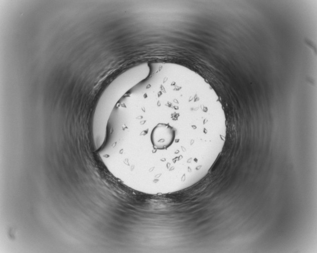 X0000101470556200808041108