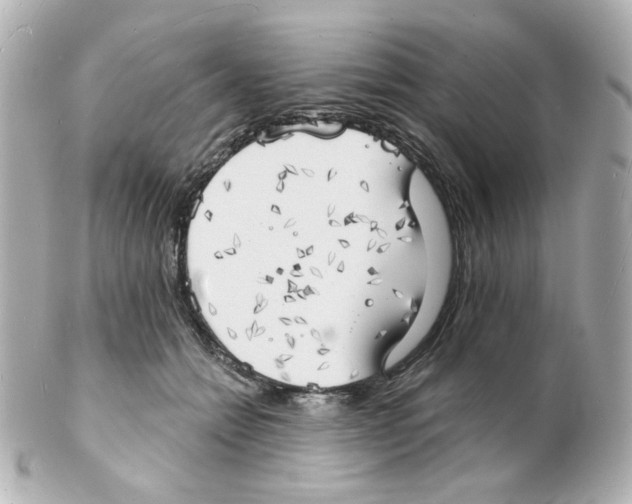 X0000101470558200808041108