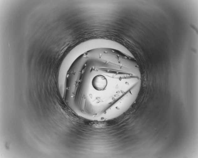 X0000101470560200808041108