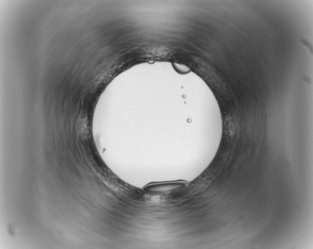 X0000101470564200808041108