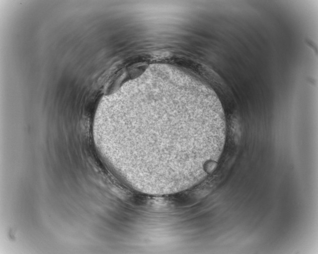 X0000101470565200808041108