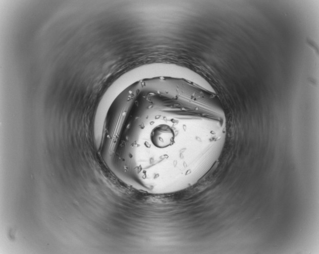 X0000101470568200808041108