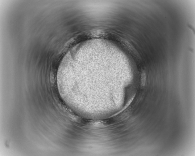 X0000101470569200808041108