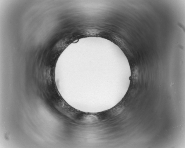 X0000101470572200808041108