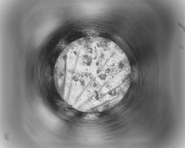 X0000101470573200808041108