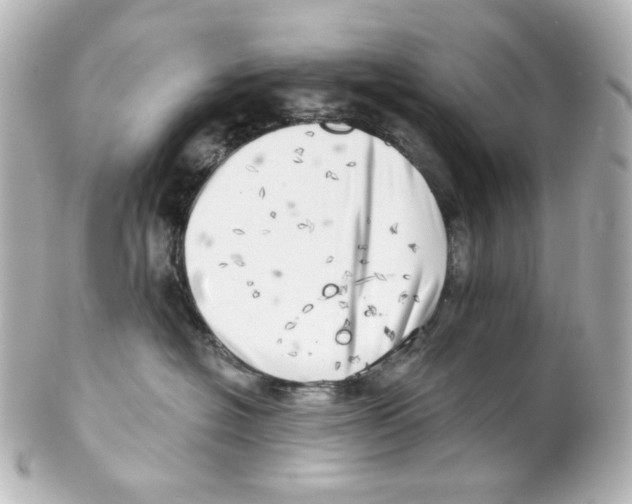 X0000101470574200808041108