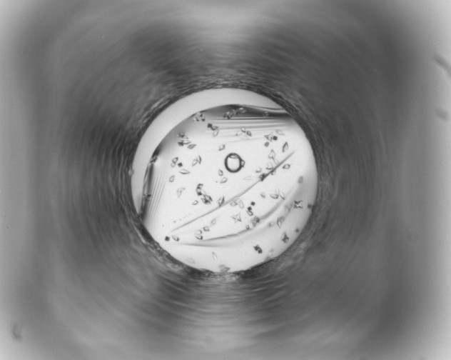 X0000101470576200808041108