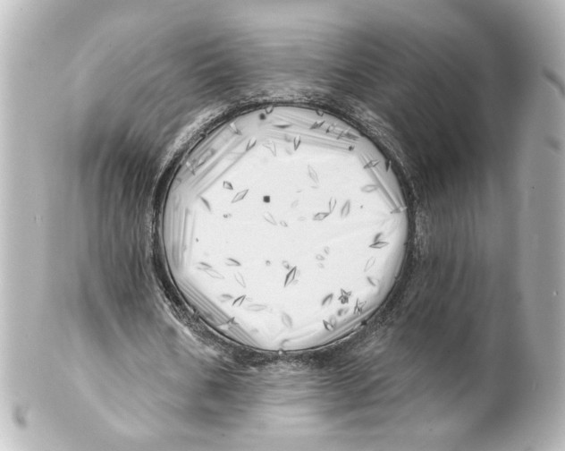 X0000101470578200808041107